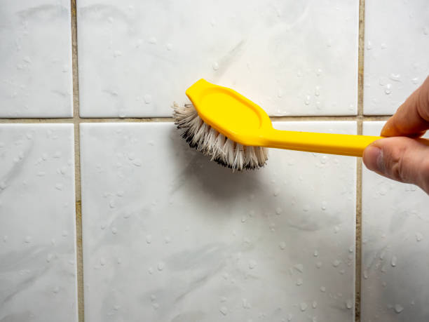  Pecan Plantation, TX Mold Removal Pros