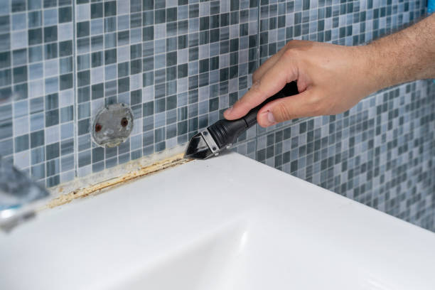 Best Affordable Mold Removal  in Pecan Plantation, TX